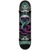 SKATE COMPLETO Darkstar Snake (8,00"x31,60")