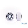 Risport + Roll Line